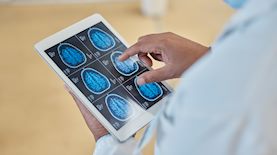 צילום: shutterstock